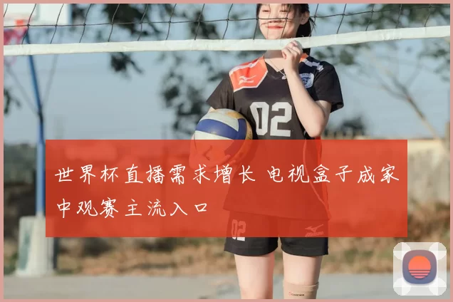 世界杯直播需求增长 电视盒子成家中观赛主流入口