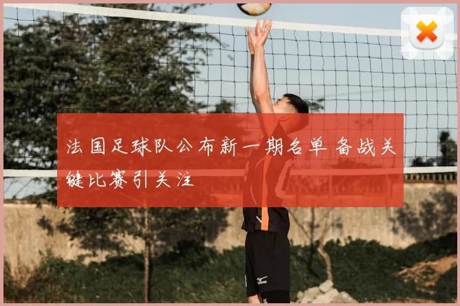 法国足球队公布新一期名单 备战关键比赛引关注