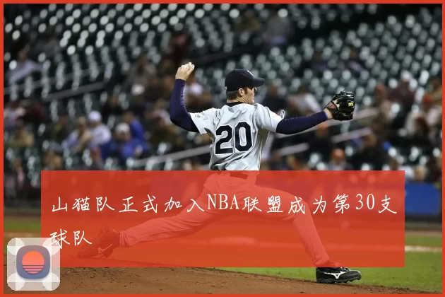 山猫队正式加入NBA联盟成为第30支球队