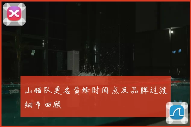 山猫队更名黄蜂时间点及品牌过渡细节回顾
