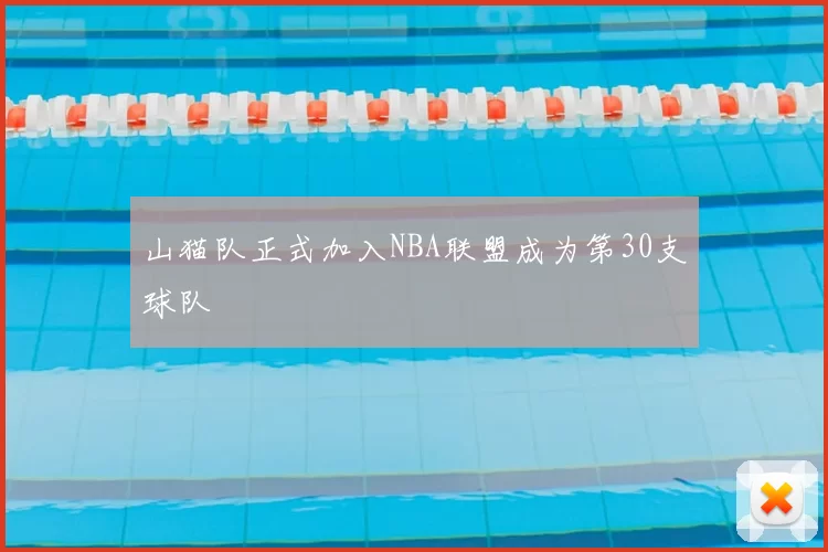 山猫队正式加入NBA联盟成为第30支球队
