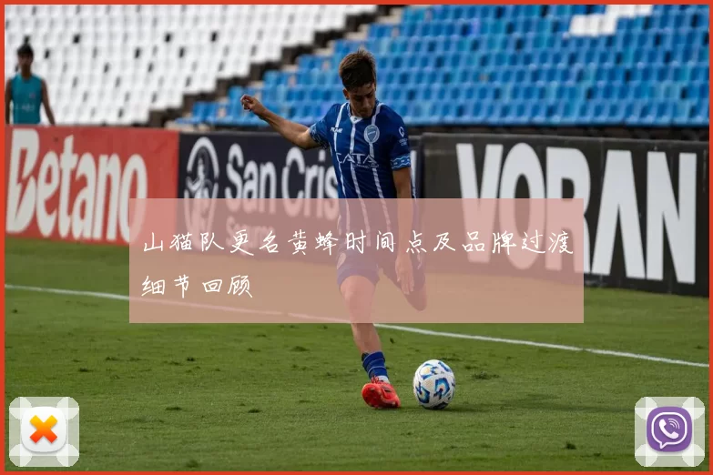 山猫队更名黄蜂时间点及品牌过渡细节回顾