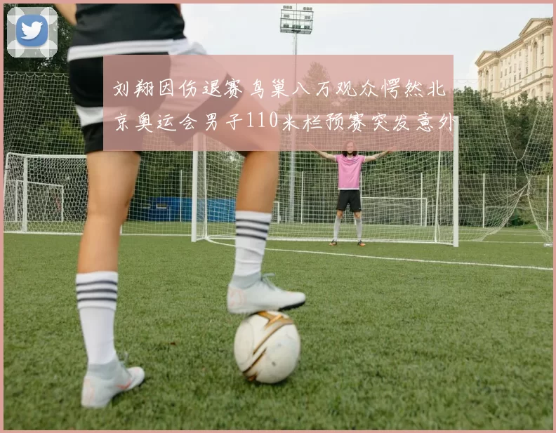 刘翔因伤退赛鸟巢八万观众愕然北京奥运会男子110米栏预赛突发意外