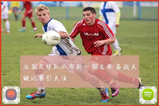 法国足球队公布新一期名单 备战关键比赛引关注
